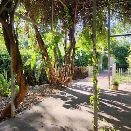 Amazing By The Fair Apartment Valencia